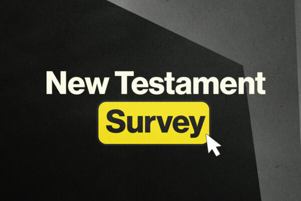 New Testament SurveySocial Square